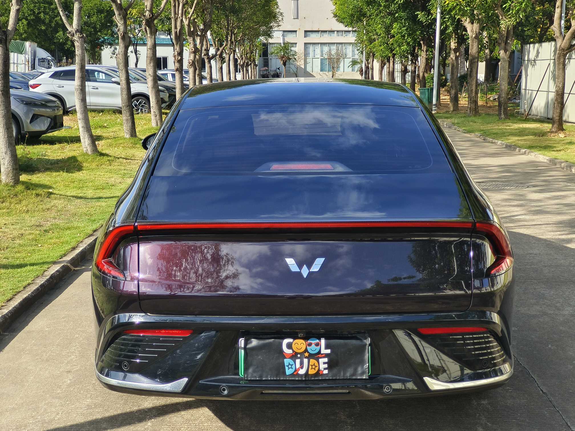 Wuling Starlight 2024 imagen de coche #18