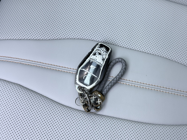 BYD Song Plus New Energy 2024 car image #18