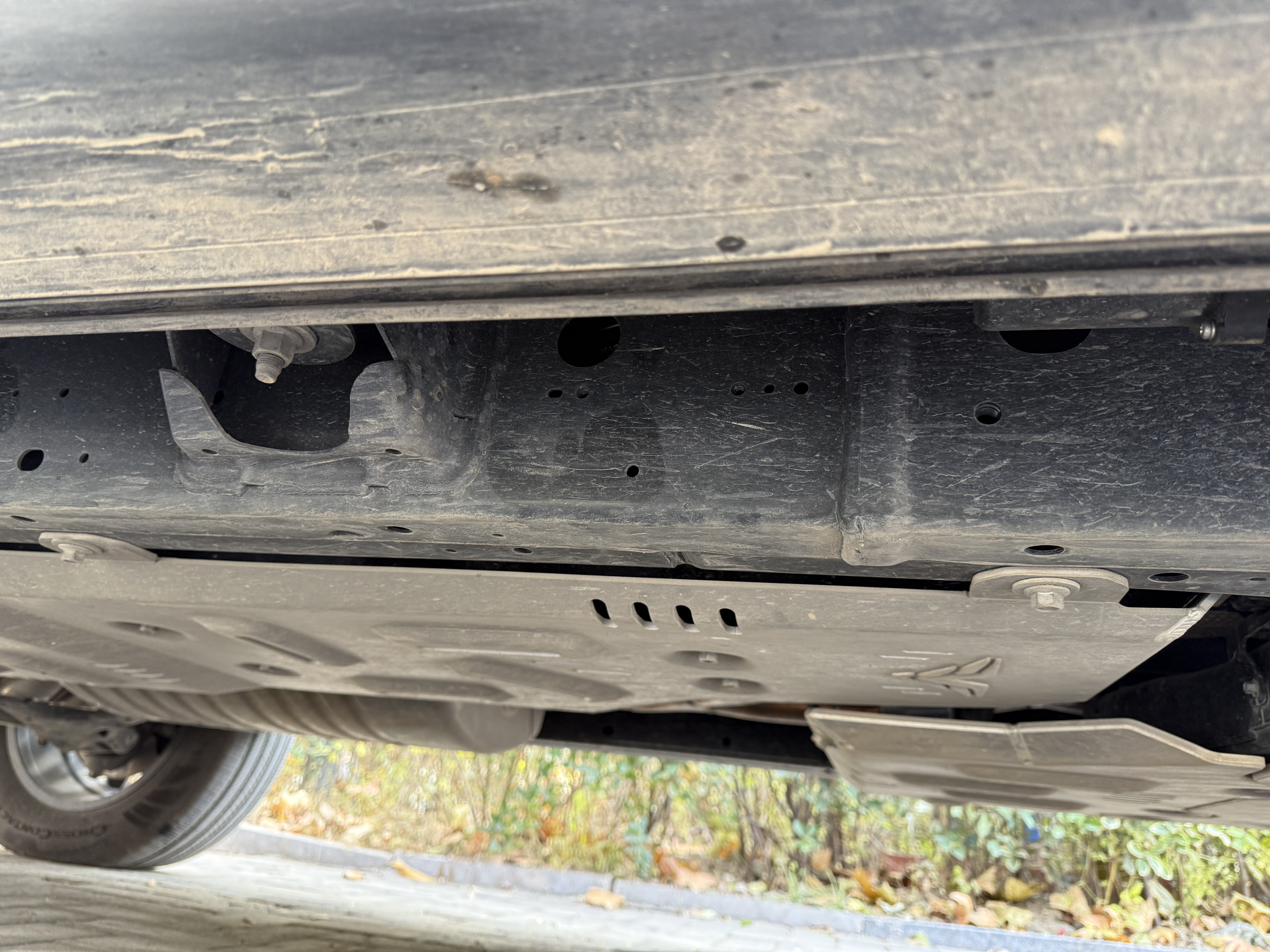 Tank 700 New Energy 2024 immagine di auto #18