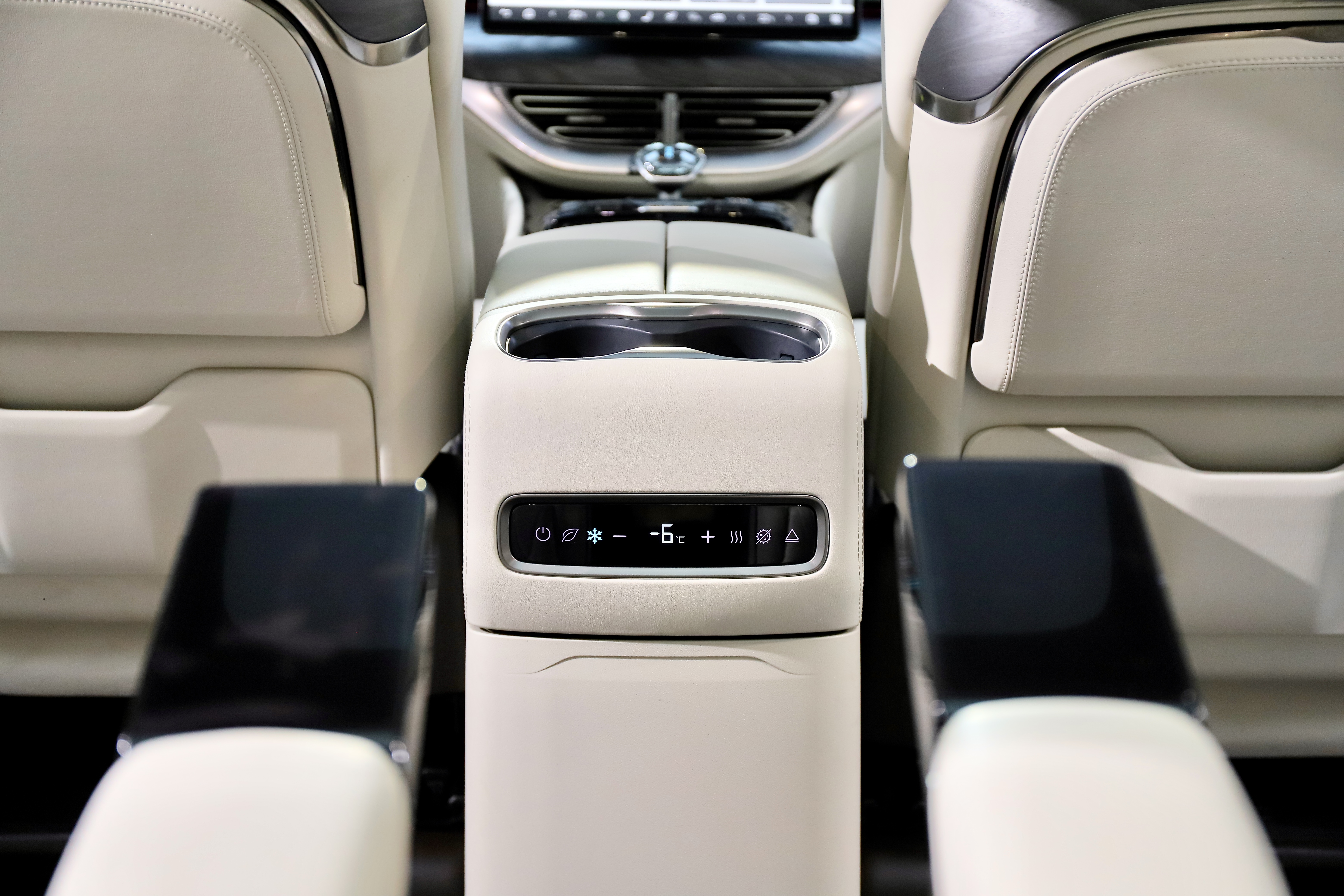 Denza D9 2024 immagine di auto #18