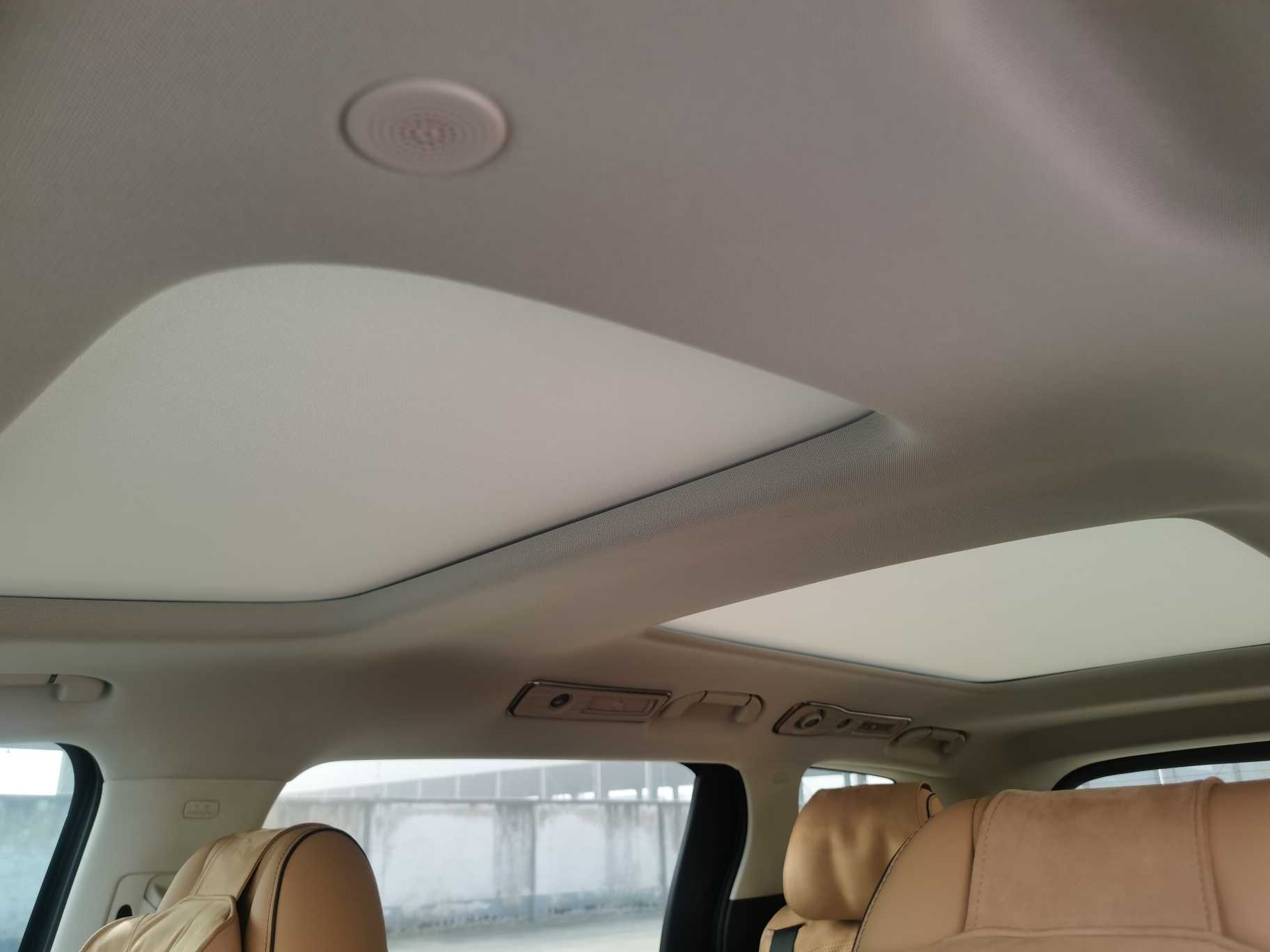 Denza D9 2024 car image #18