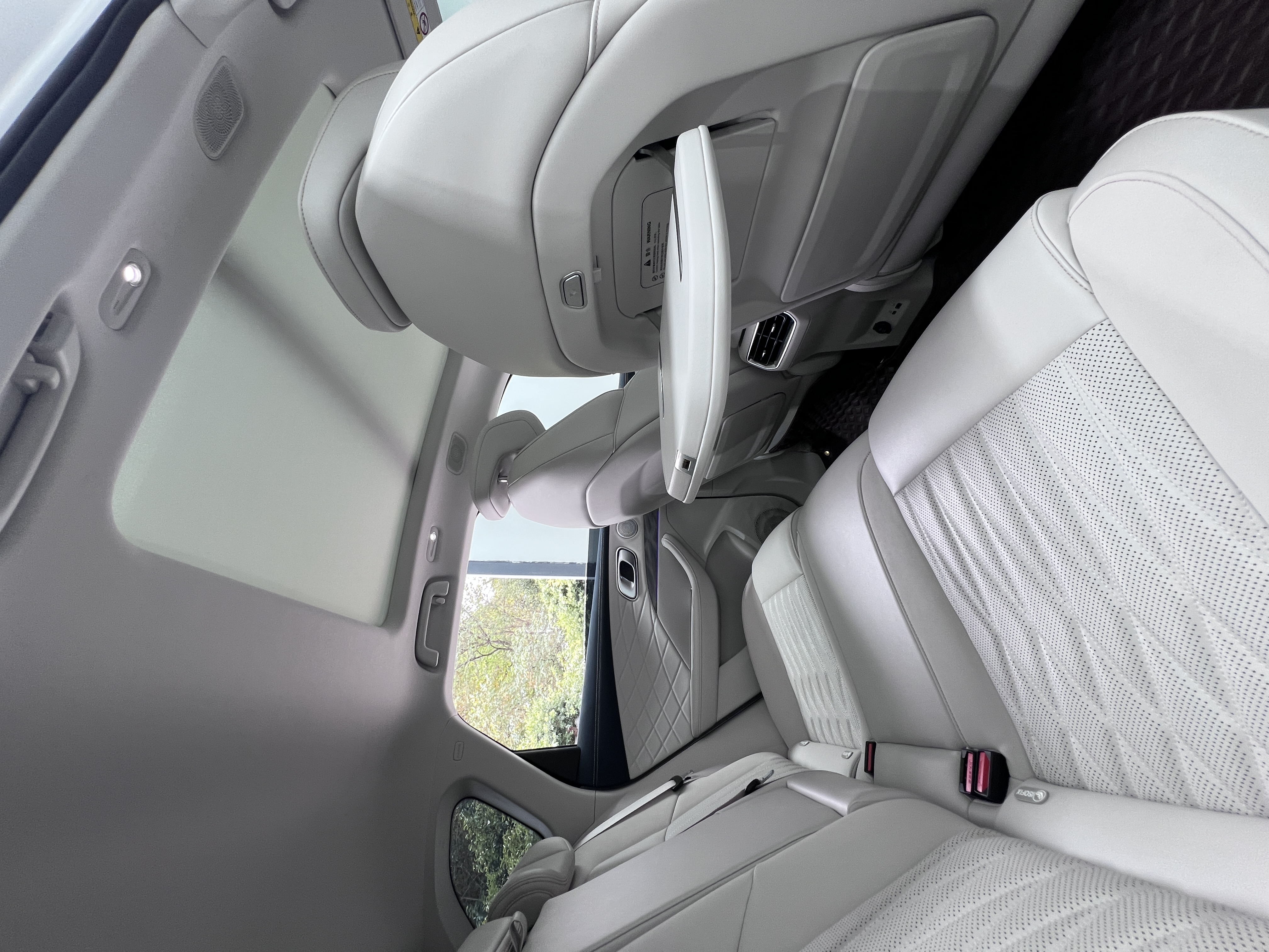 Neta L 2024 imagen de coche #18