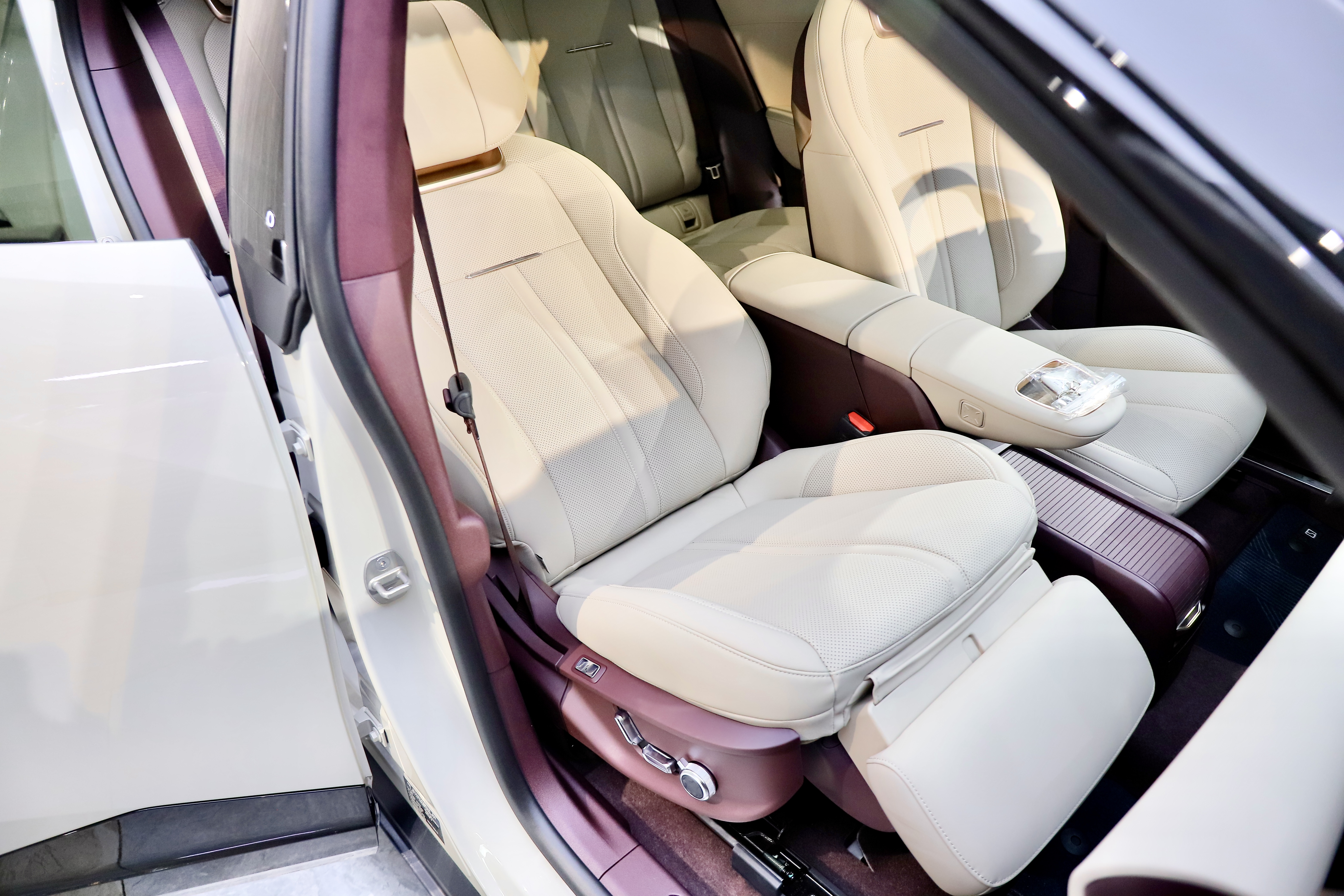 极氪 极氪X 2024 汽车图片 #18