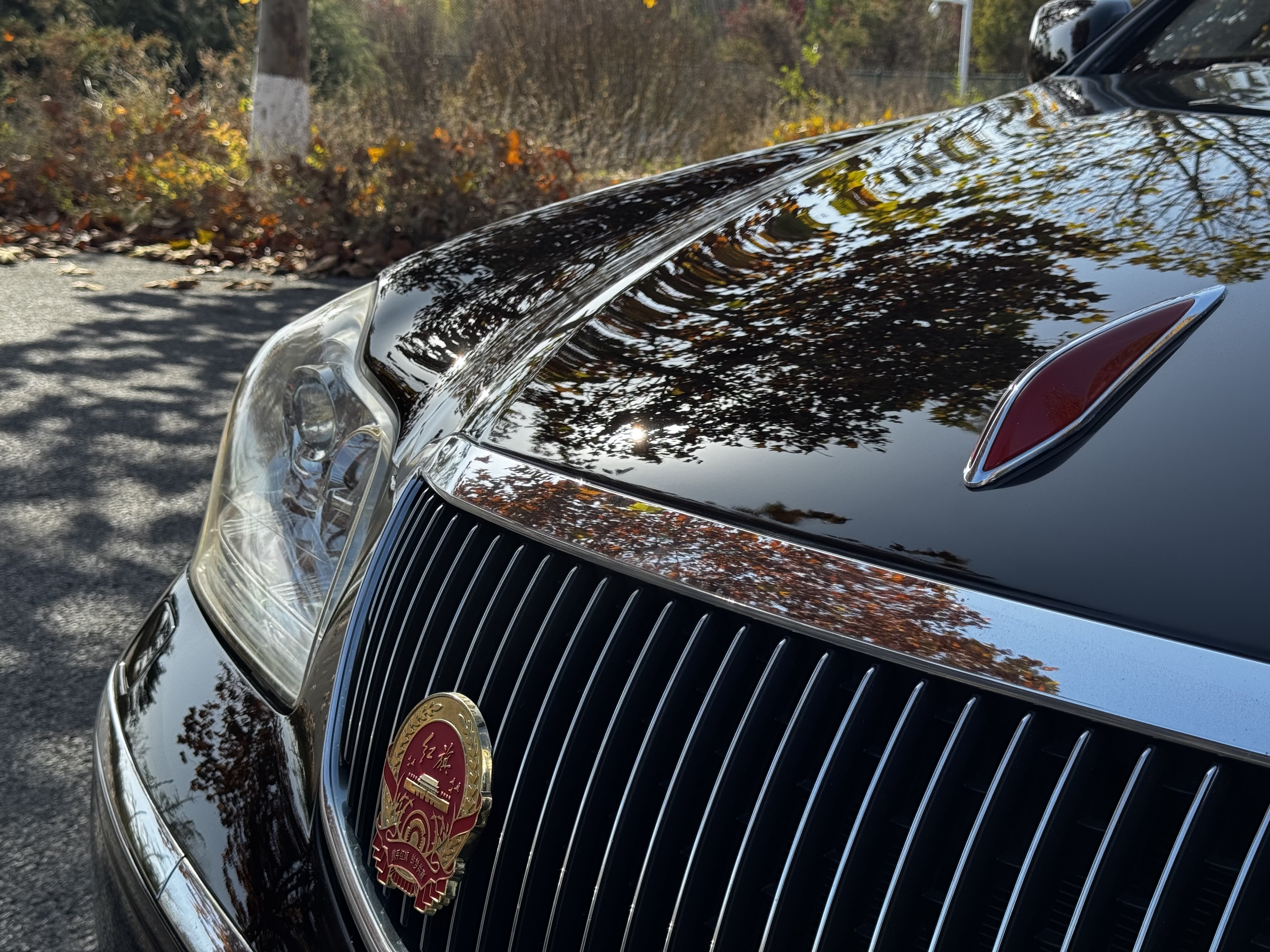 HongQi ShengShi 2009 car image #18