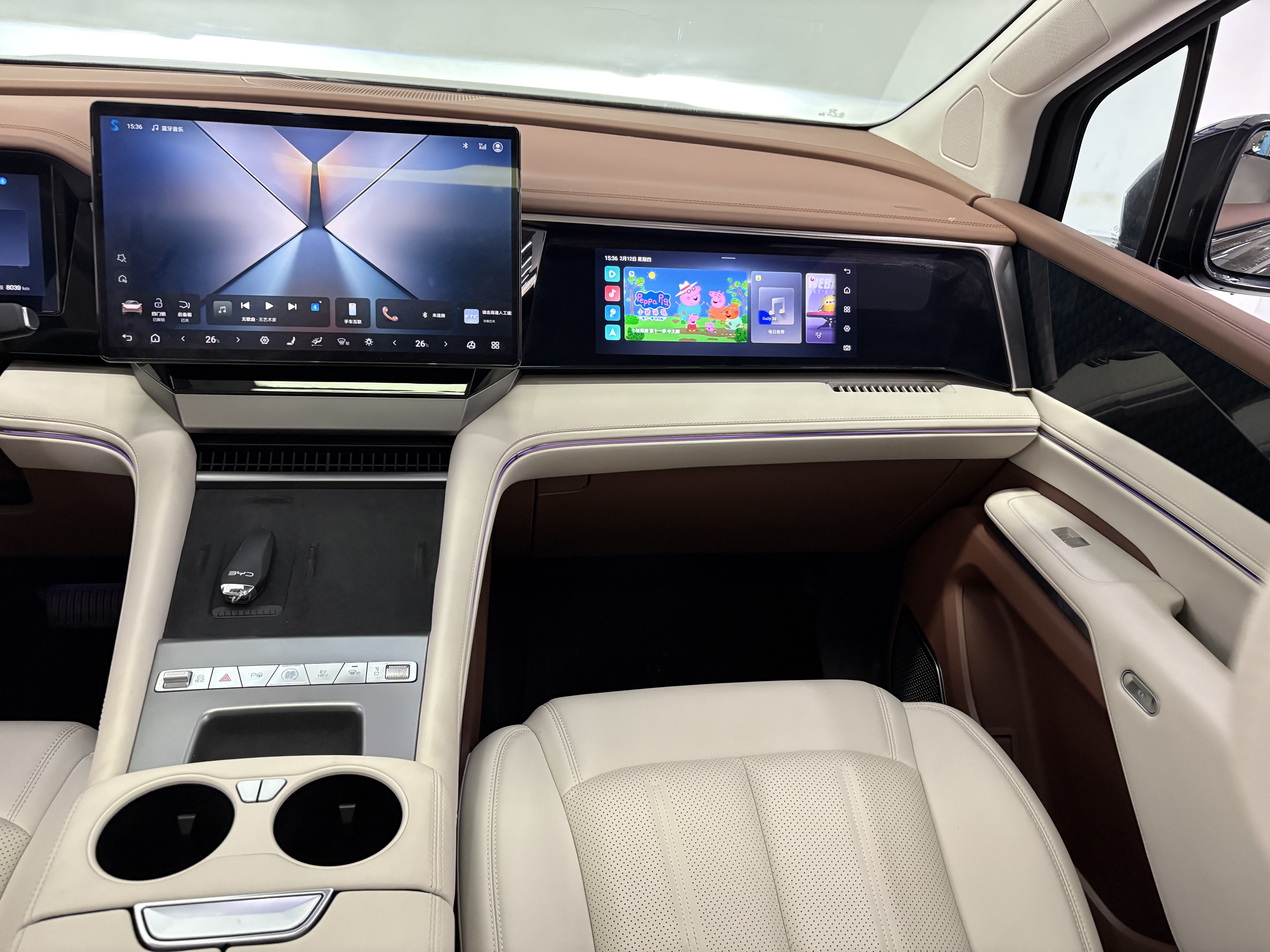 BYD Xia 2025 imagen de coche #18