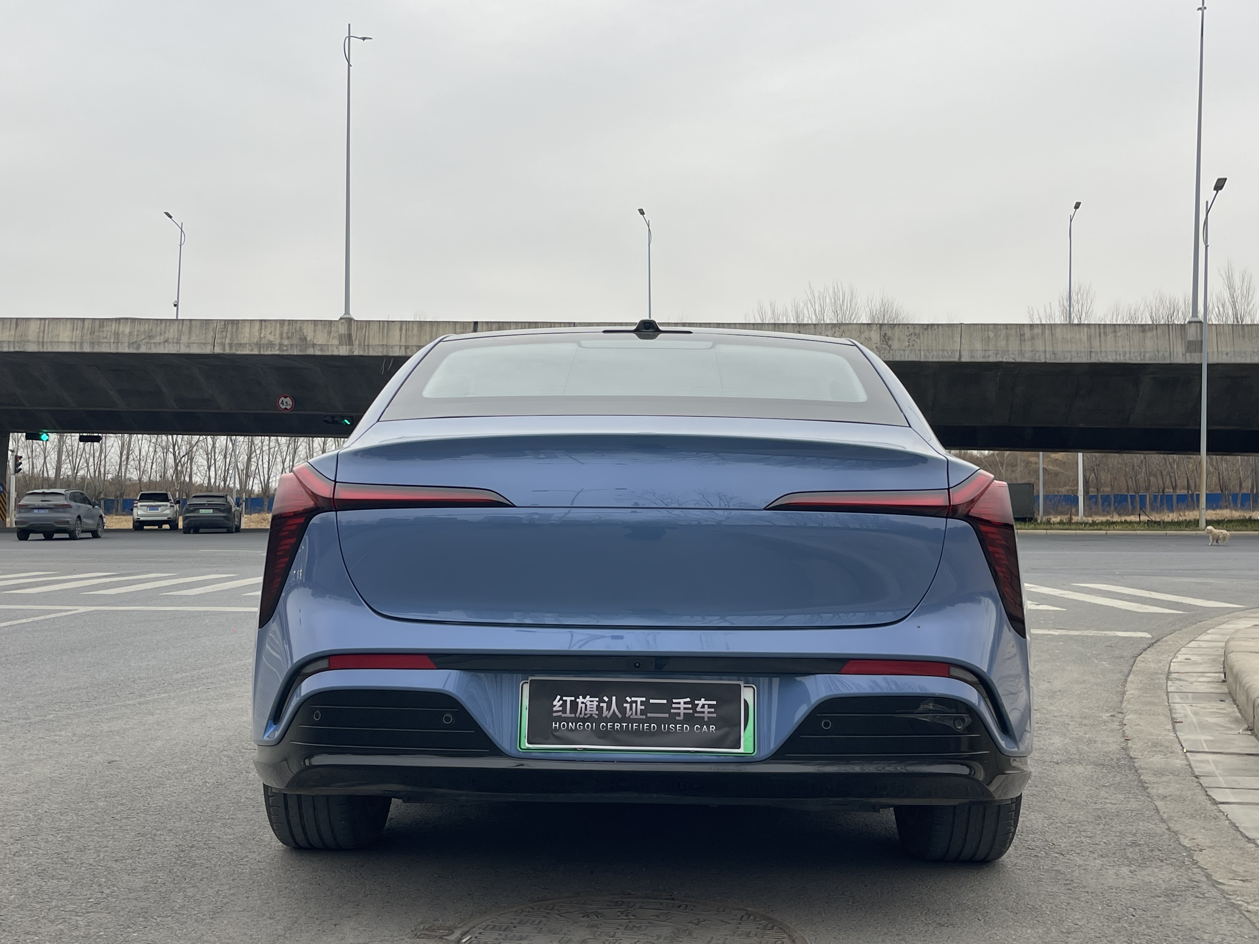 HongQi 2025 car image #18