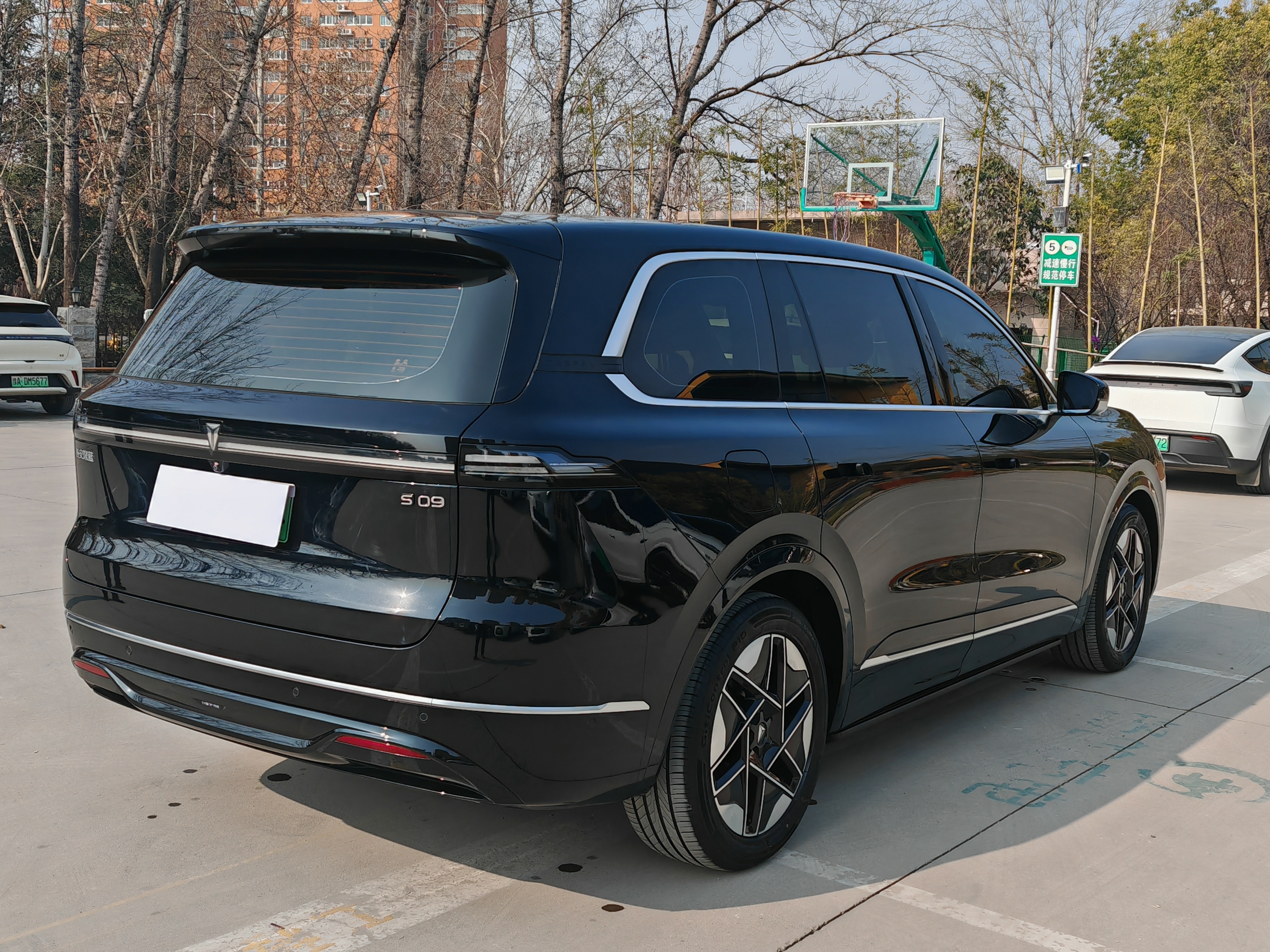 Deepal S09 2025 car image #18