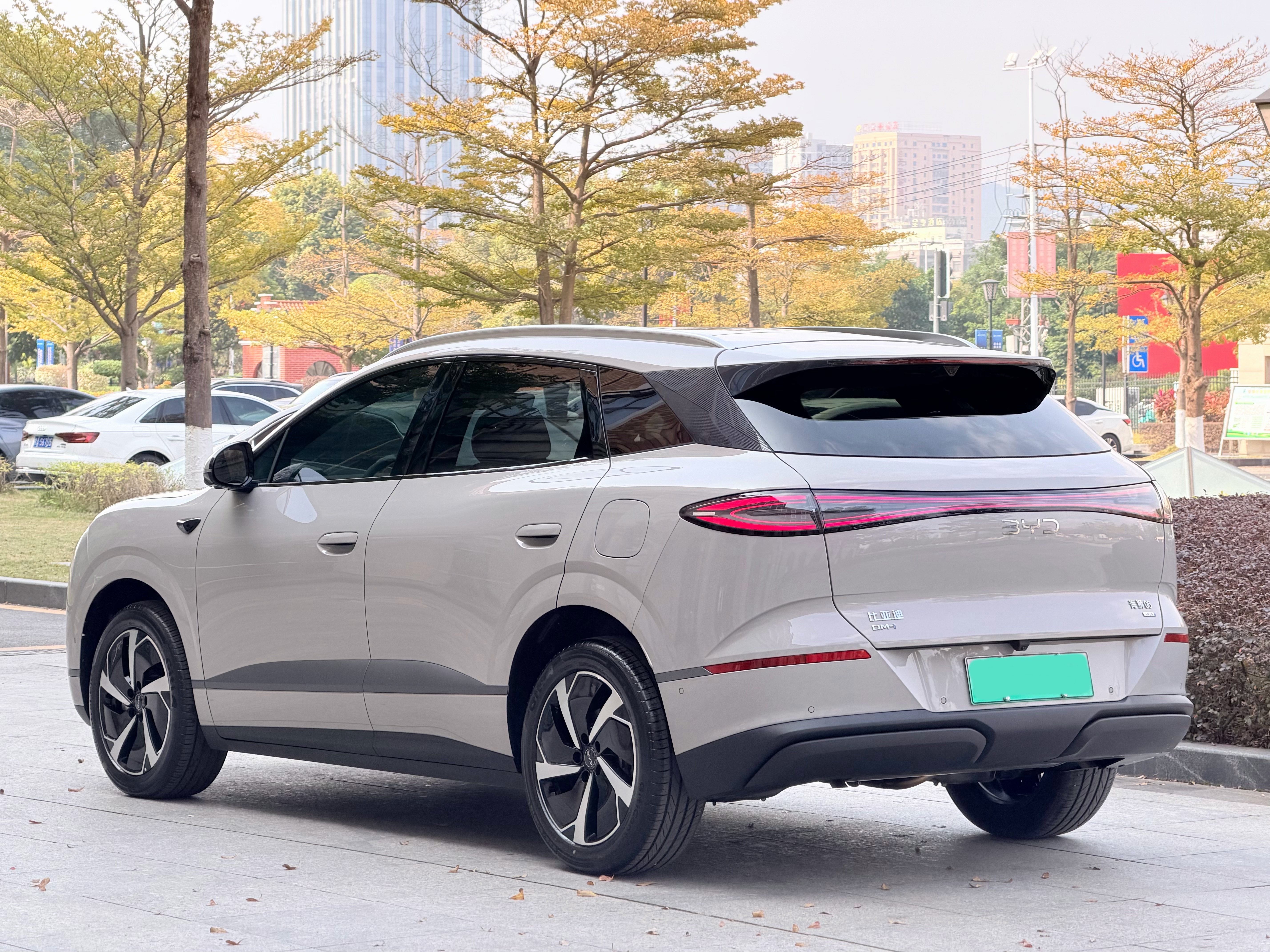 BYD Sea Lion 06 New Energy 2025 car image #18