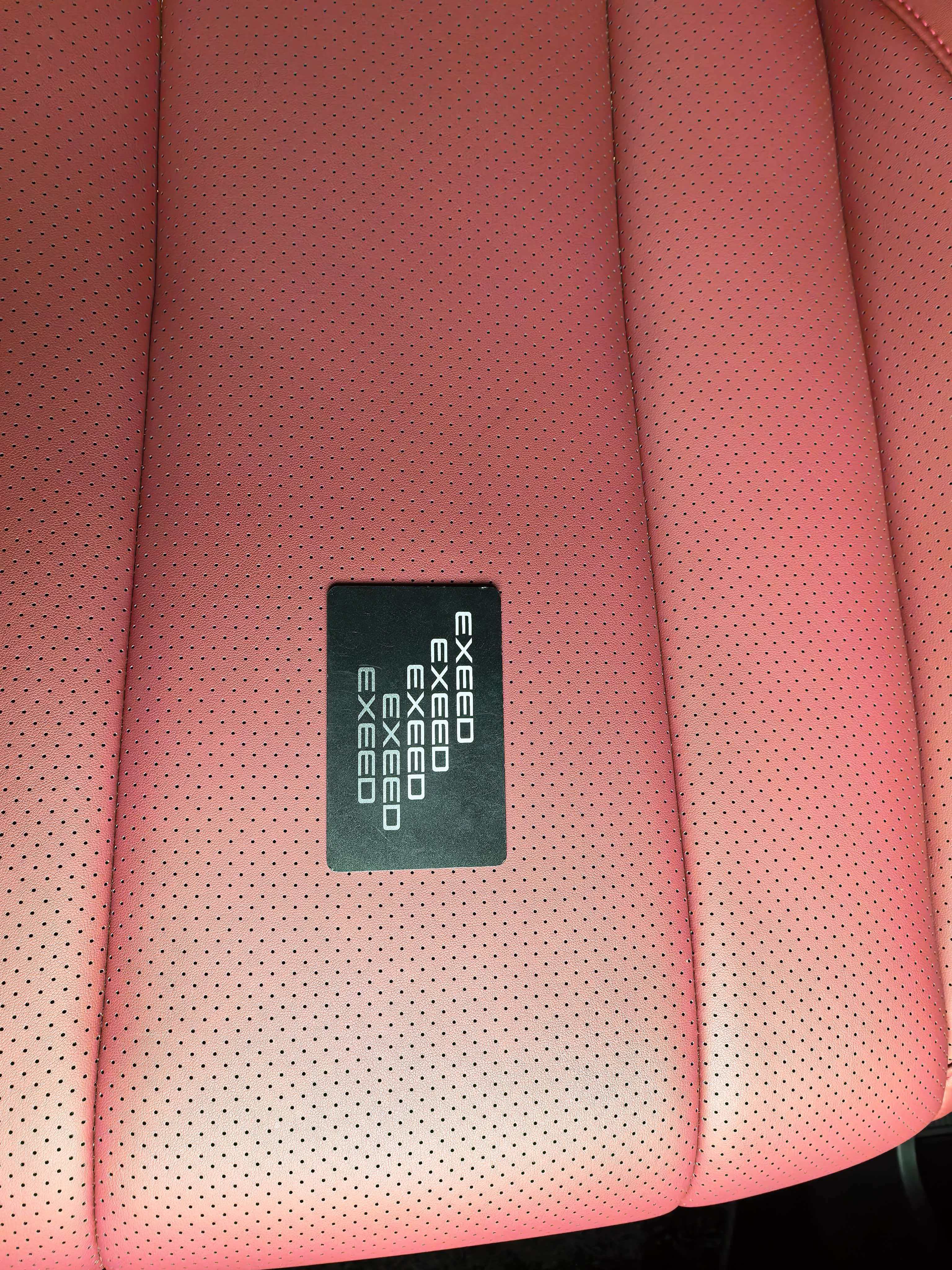 Exceed Stellar Era ES 2025 car image #18