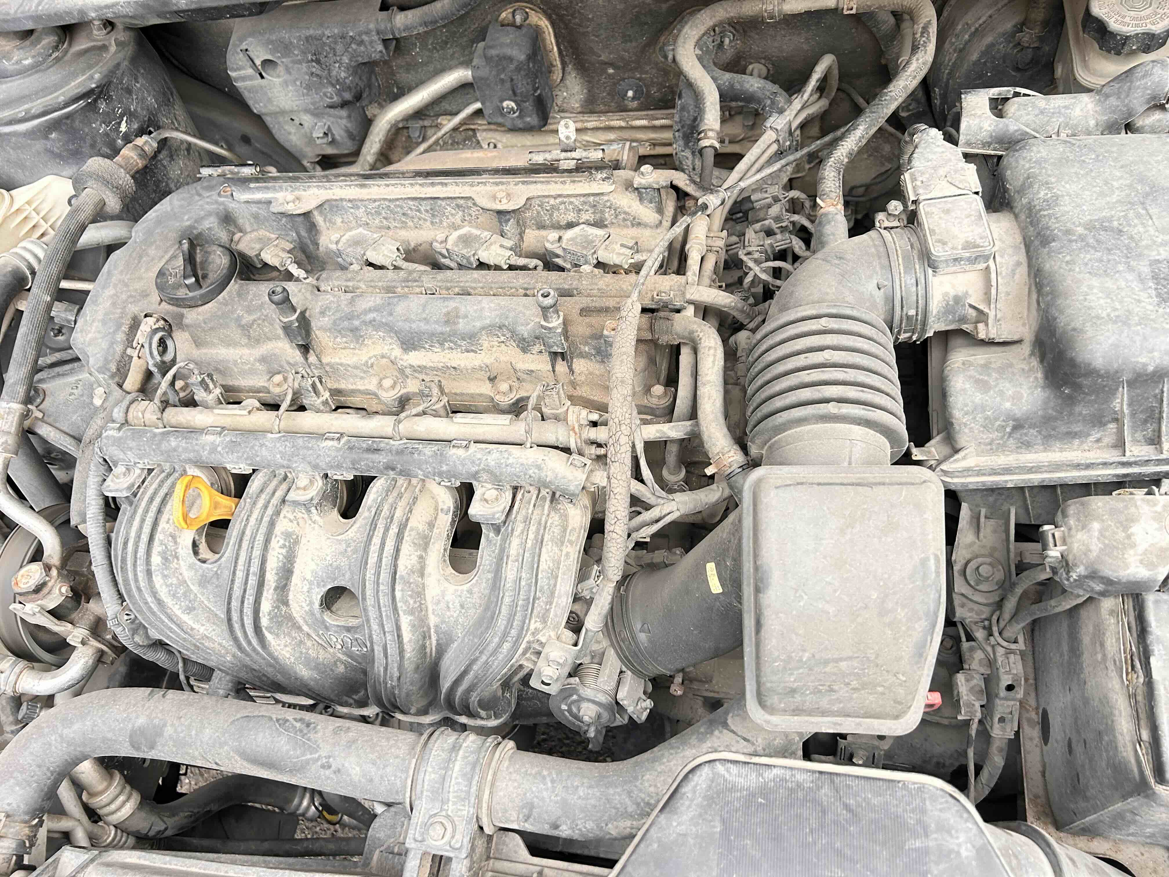 起亚 佳乐 2010 汽车图片 #18