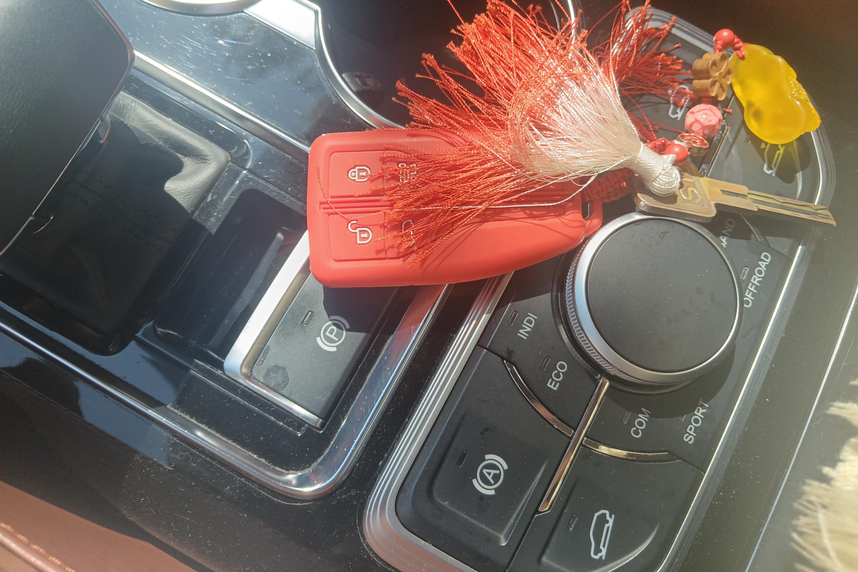 HongQi HS7 2019 #18 HongQi HS7 2019 car image #18