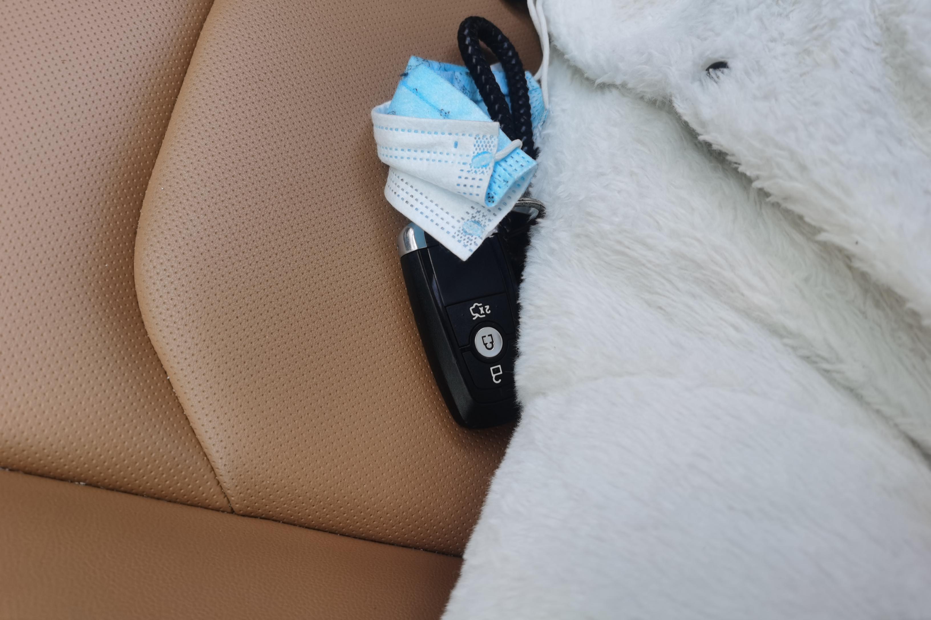 Ford Escort 2021 car image #18