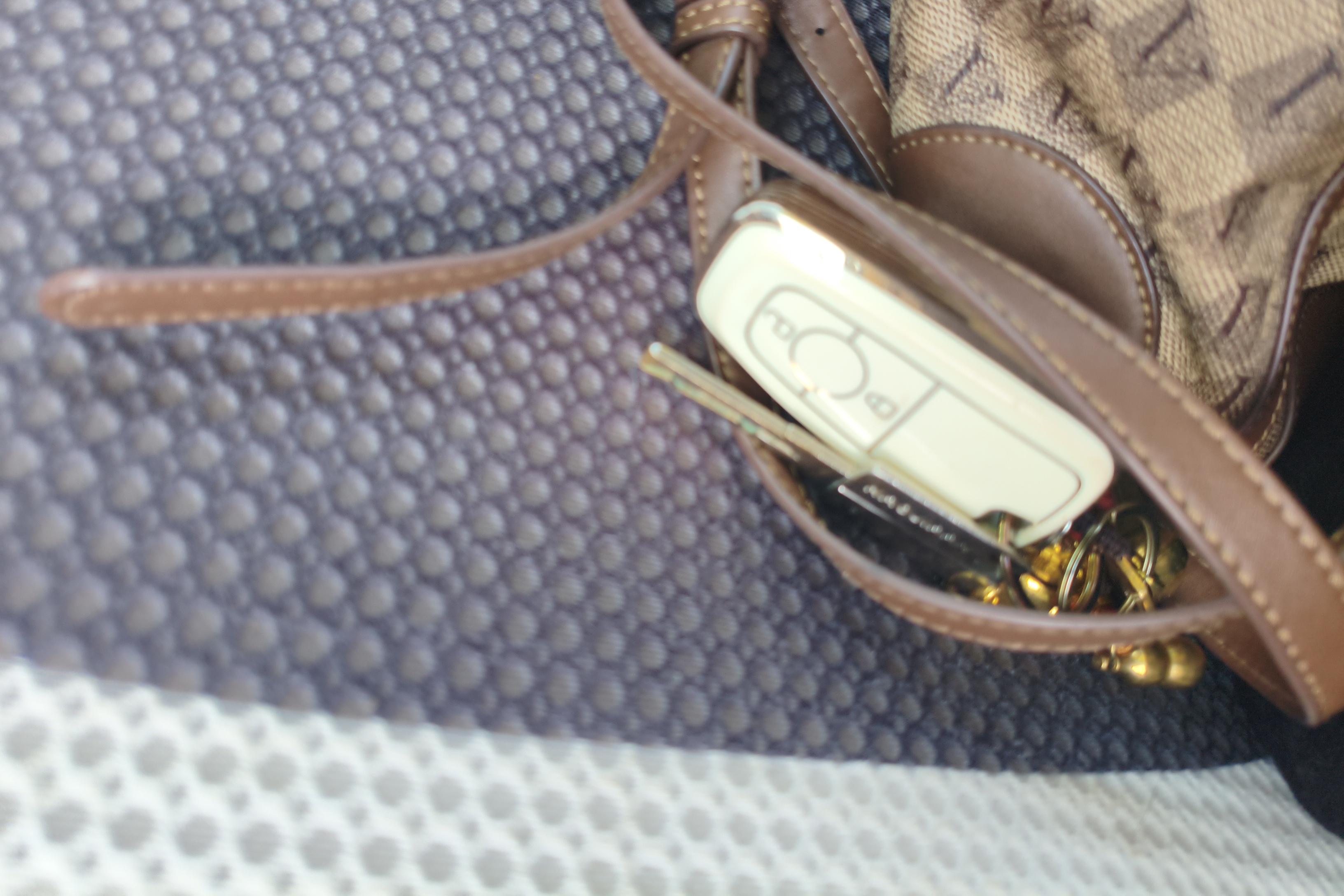 Ford EcoSport 2015 car image #18