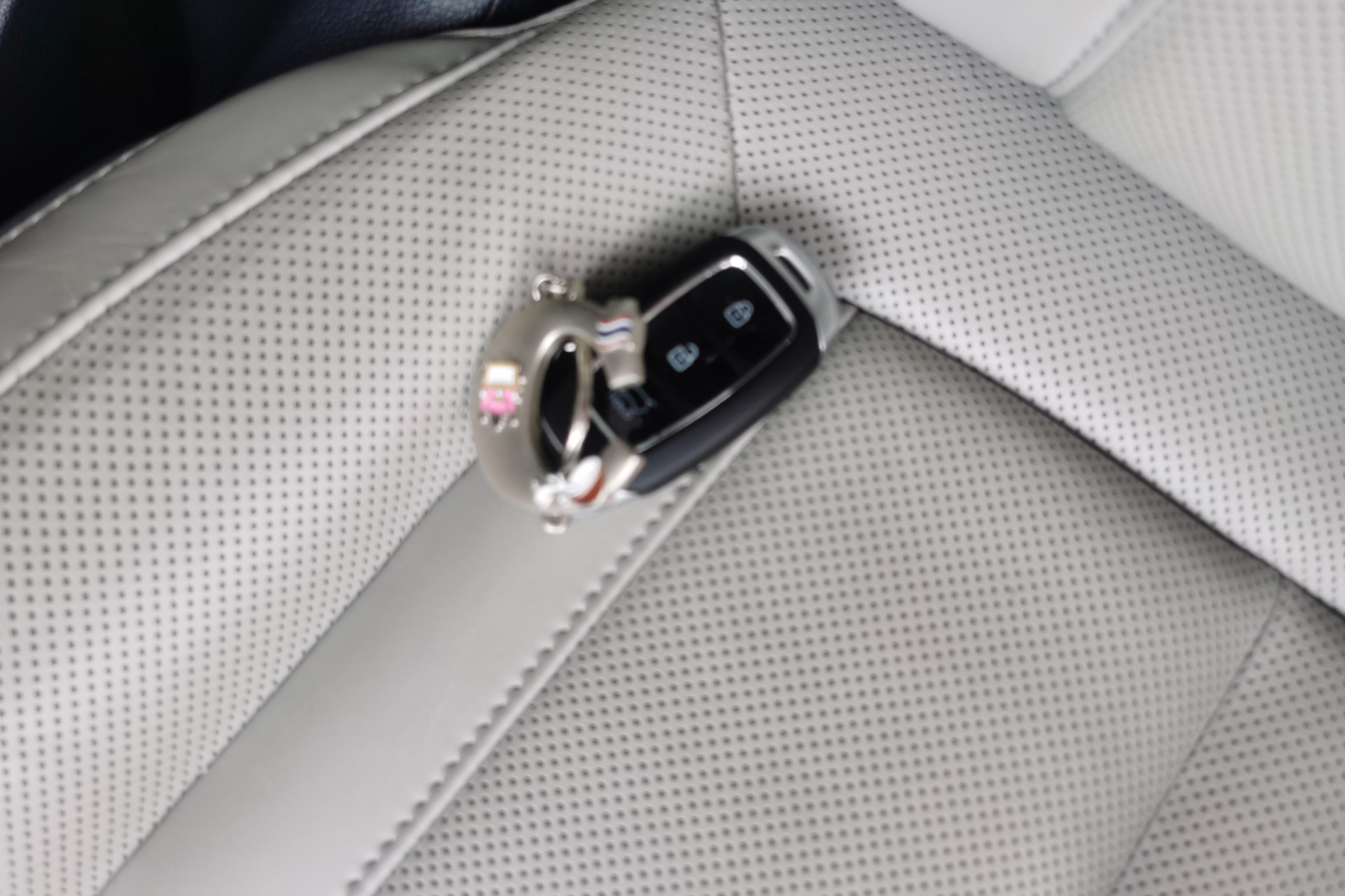 Hyundai Palisade 2020 car image #18