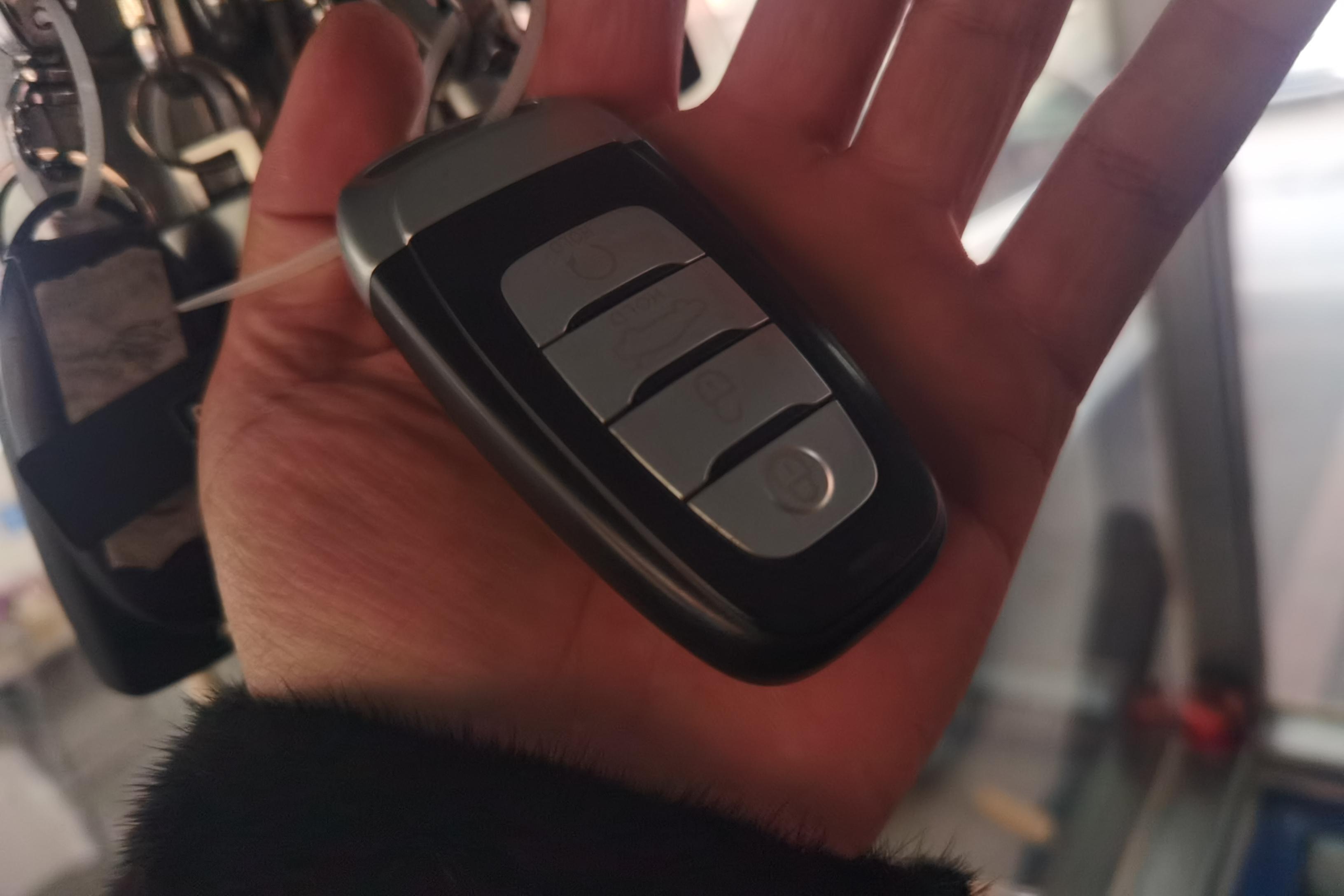 HongQi H9 2021 #18 HongQi H9 2021 immagine di auto #18