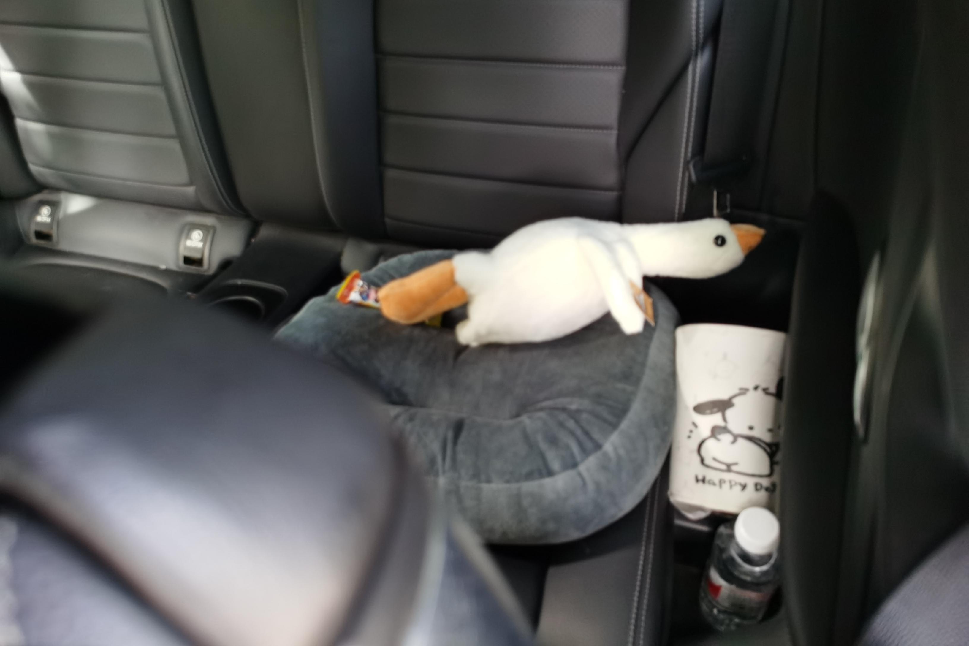 Mercedes-Benz C Class (Imported) 2018 #18 Mercedes-Benz C Class (Imported) 2018 car image #18