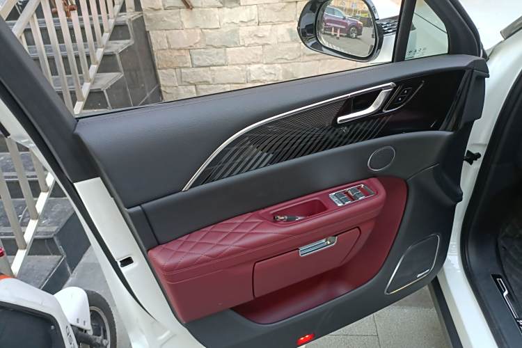 HongQi E-HS9 2023 car image #18