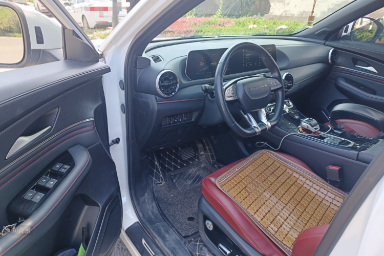 T5 EVO 2021 car image #18