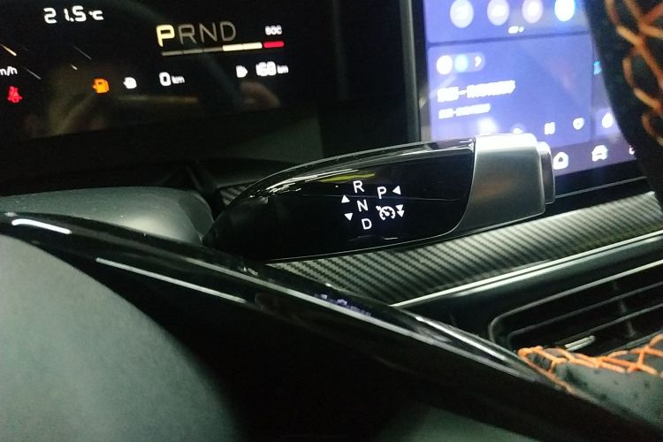 Neta L 2025 imagen de coche #18