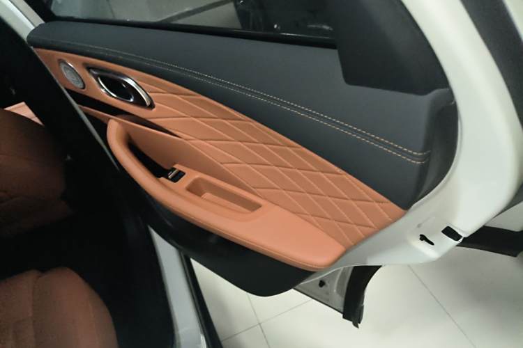 Neta L 2024 imagen de coche #18