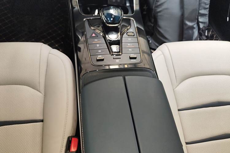 BYD e9 2021 car image #18