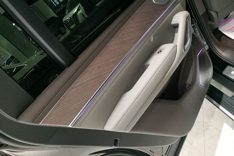 Denza N9 2025 car image #18