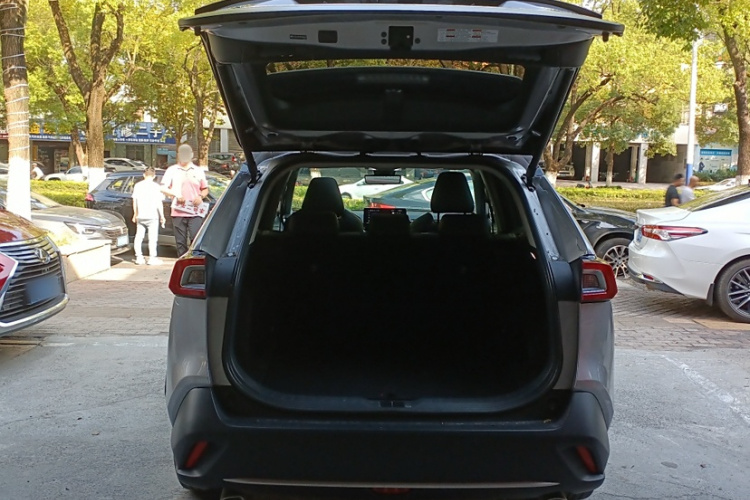 Toyota Wildlander 2023 imagem de carro #18