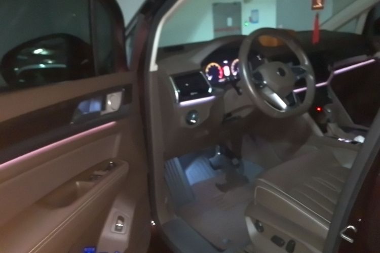 Volkswagen Viloran 2021 car image #18