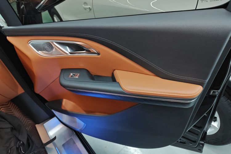 HongQi HQ9 PHEV 2024 immagine di auto #18