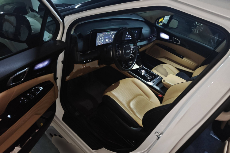 Kia Carnival 2021 immagine di auto #18