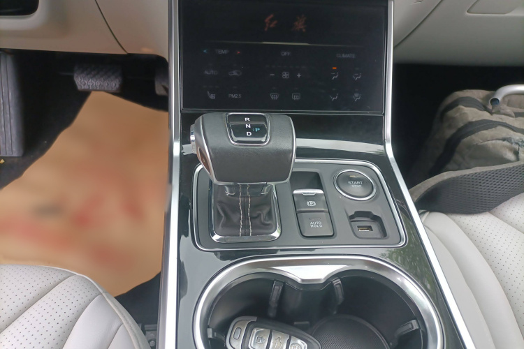 HongQi E-HS3 2019 car image #18