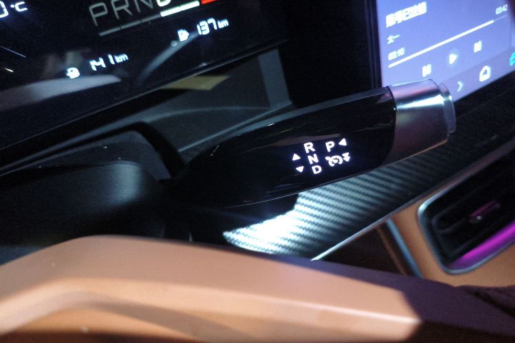 Neta L 2024 imagen de coche #18