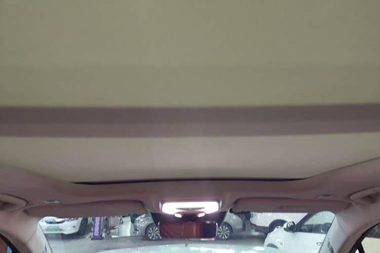 HongQi E-HS9 2021 immagine di auto #18