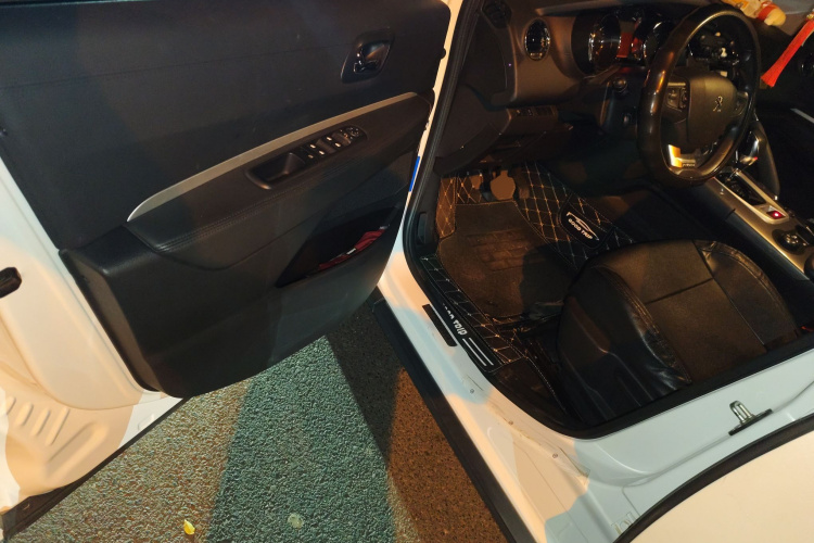 Peugeot 3008 2019 car image #18
