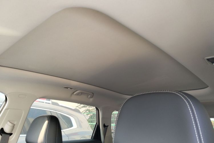 GEELY OkavangoR7 2021 car image #18