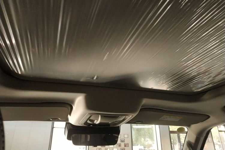 Tank 300 New Energy 2025 car image #18