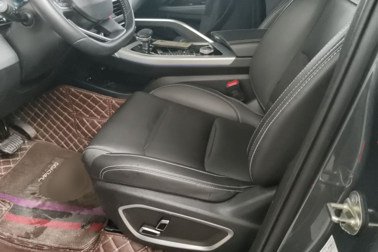 GEELY Tugella New Energy 2019 car image #18