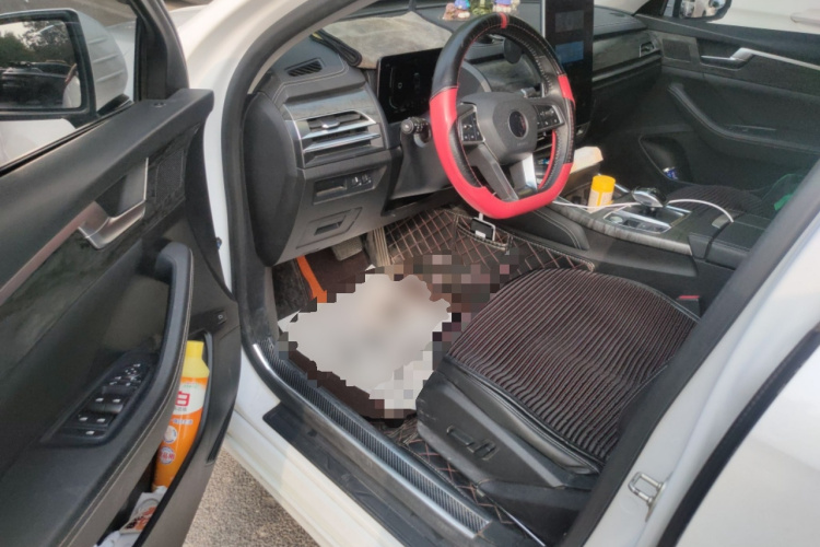 BYD Qin Pro New Energy 2019 car image #18