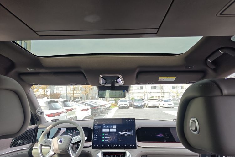 Denza N9 2025 car image #18