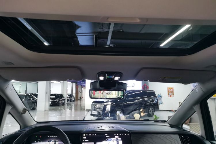 GAC Trumpchi Xiangwang M8 2025 car image #18