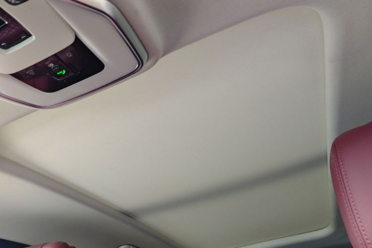 HongQi E-HS9 2021 immagine di auto #18