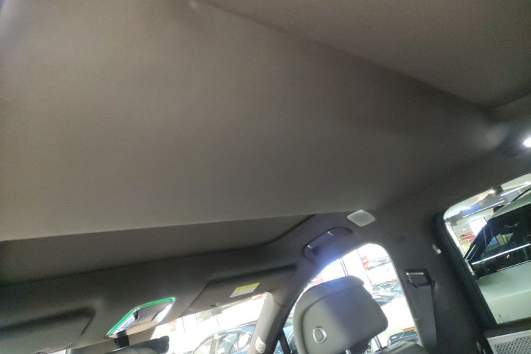 Denza N9 2025 car image #18