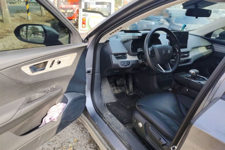 HongQi E-QM5 2023 immagine di auto #18