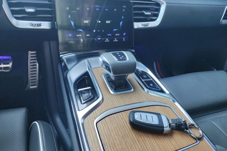 HongQi E-HS9 2022 #18 HongQi E-HS9 2022 car image #18