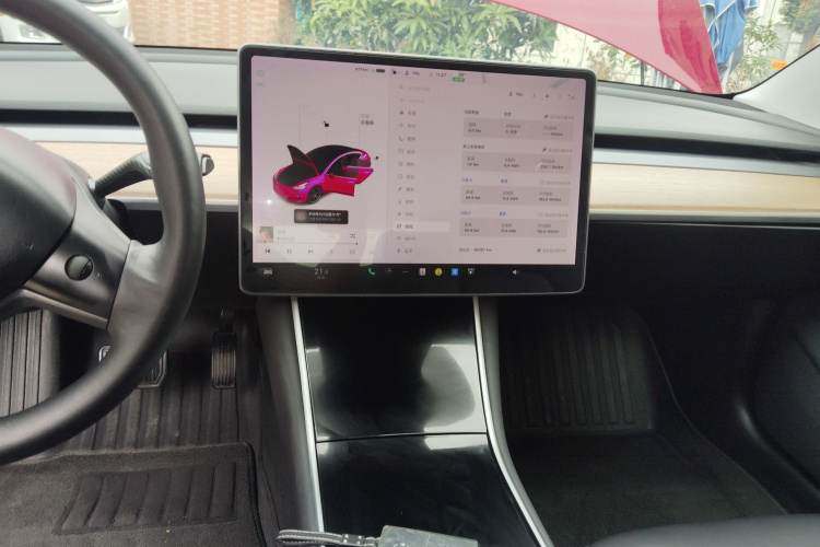 特斯拉 Model 3(进口) 2019 汽车图片 #18