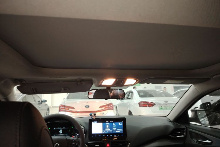 Hyundai Lafesta EV 2020 car image #18