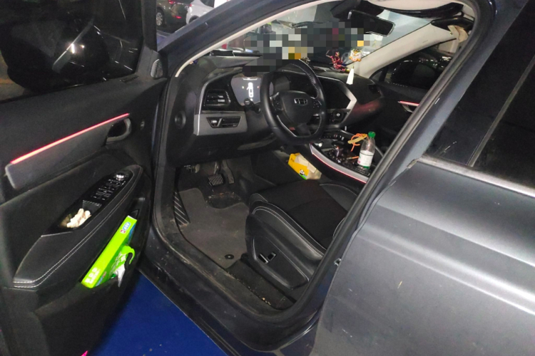 GEELY Tugella New Energy 2020 car image #18