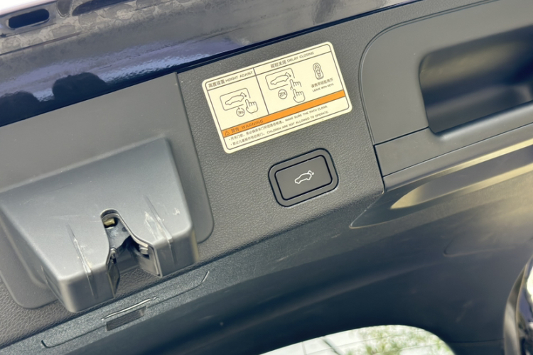 GEELY Tugella 2020 car image #18