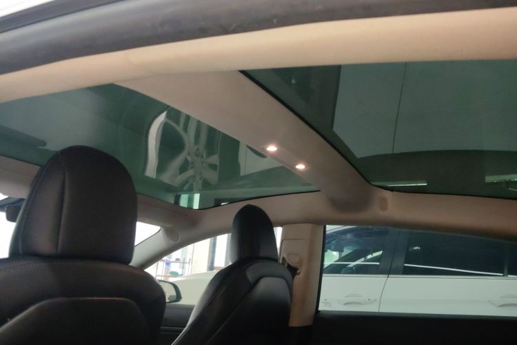 特斯拉 Model 3(进口) 2019 汽车图片 #18