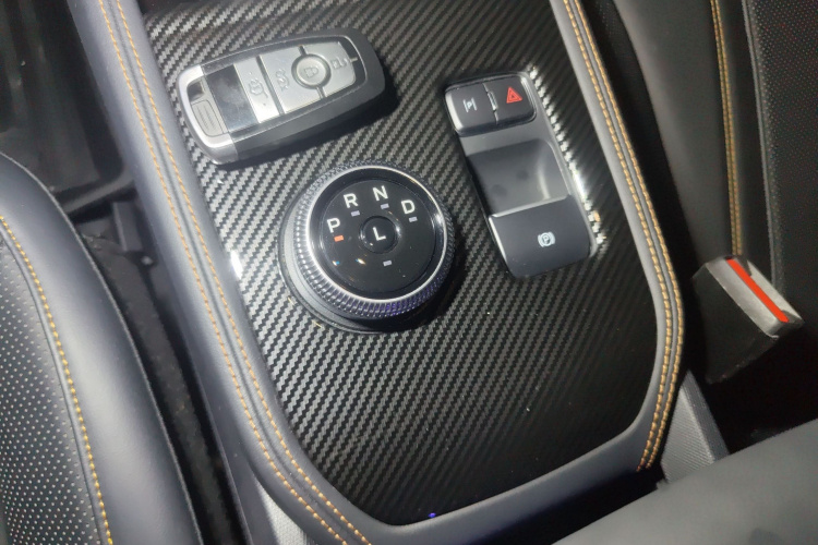 Ford Mustang Mach-E 2022 car image #18